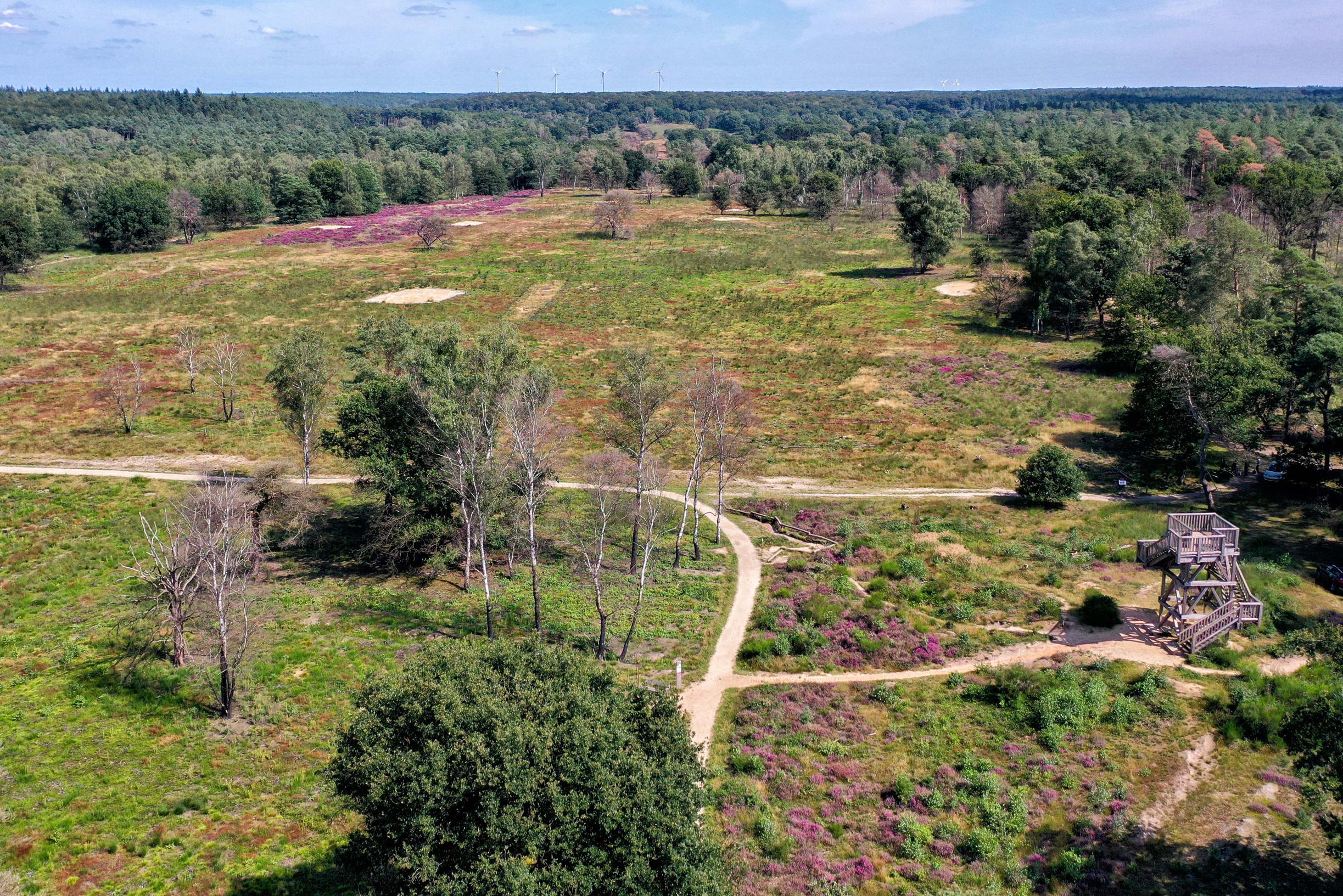 Boeren treden na toezeggingen alsnog toe tot bestuur Nationaal Park De Meinweg